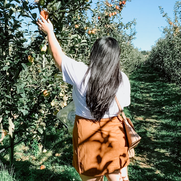 22 Fall Date Night Ideas - Apple Picking