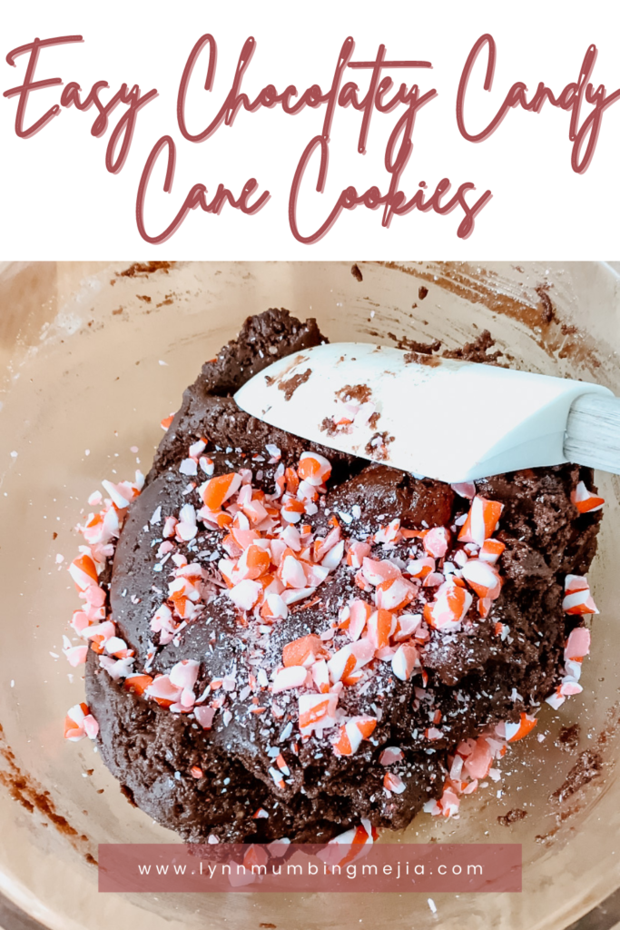 Easy Chocolatey Candy Cane Cookies - Pin 1