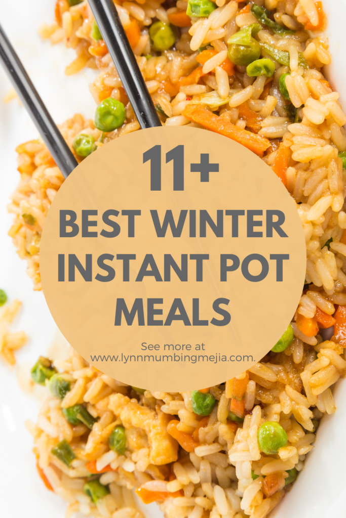 11+ Best Winter Instant Pot Meals - Pin 2
