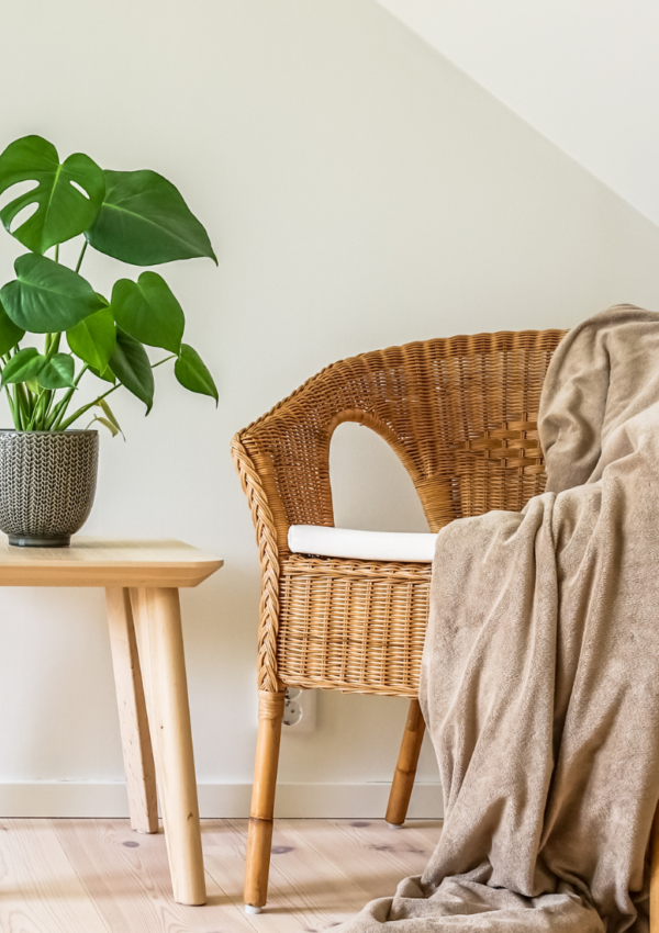 50 things to do at home