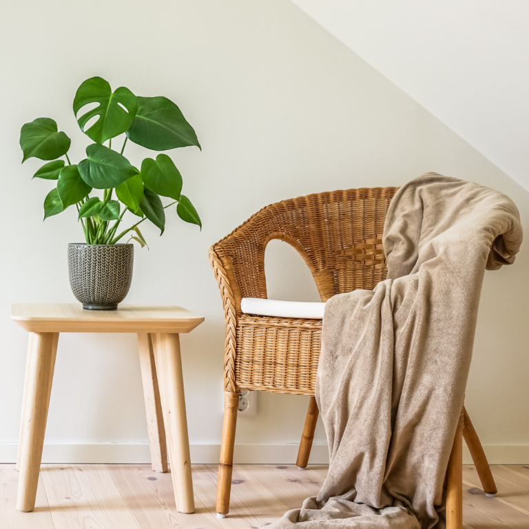 50 things to do at home