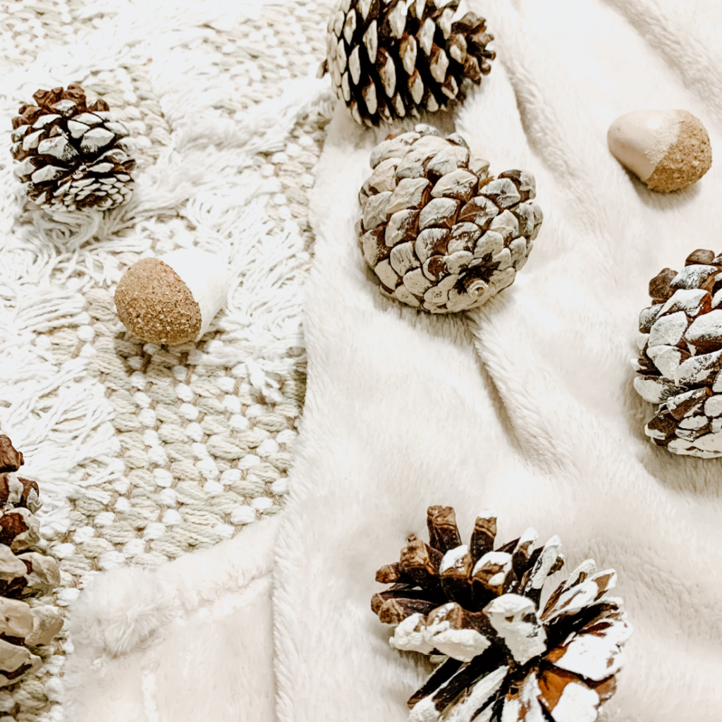DIY Budget Christmas Decor-Painted Acorns & Pine Cones