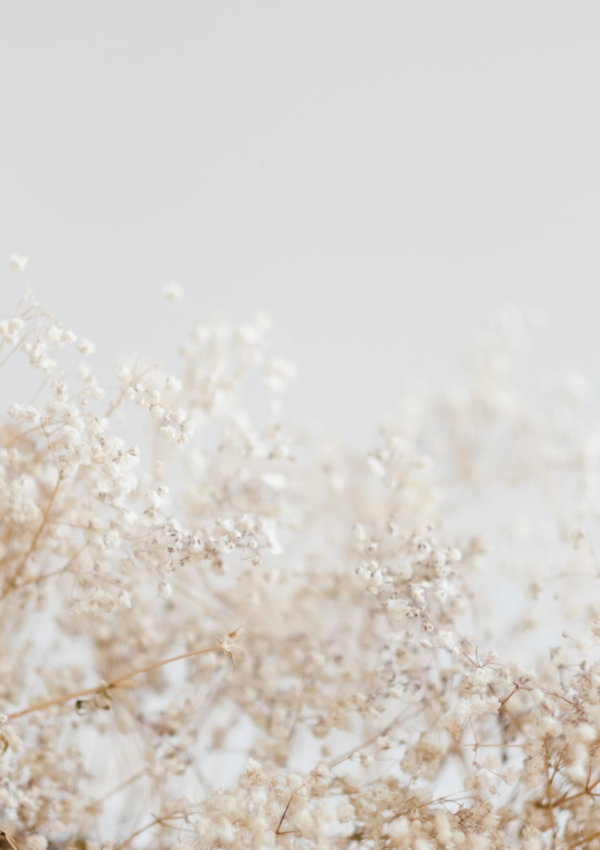 7 Beautiful Ways To Decorate Your Home With Dried Florals/Stems