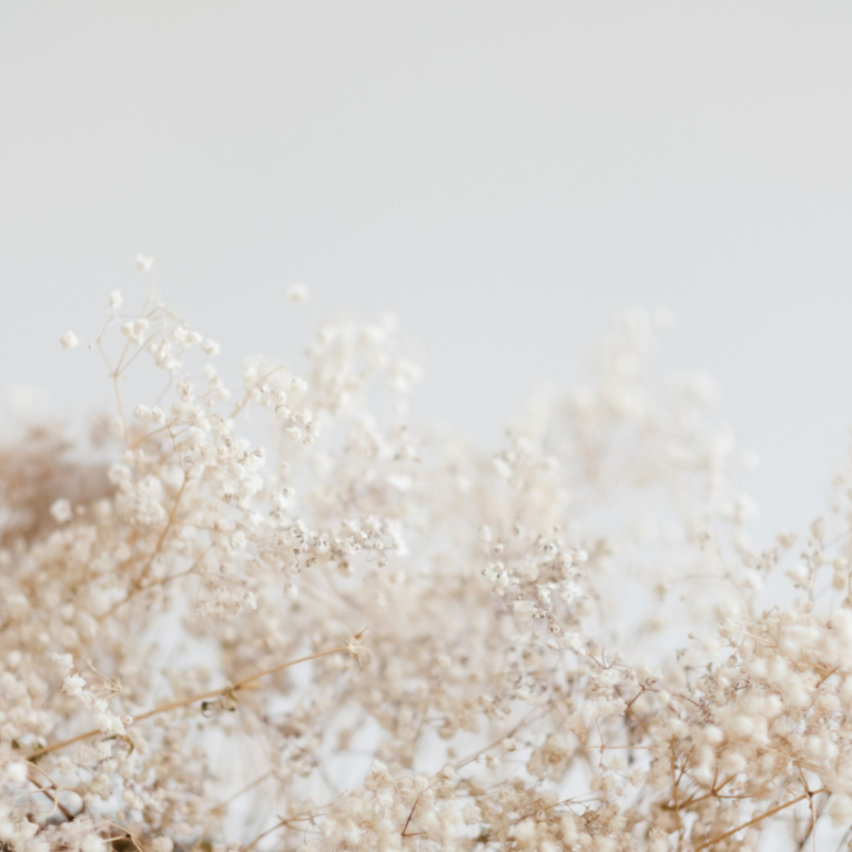 7 Beautiful Ways To Decorate Your Home With Dried Florals/Stems