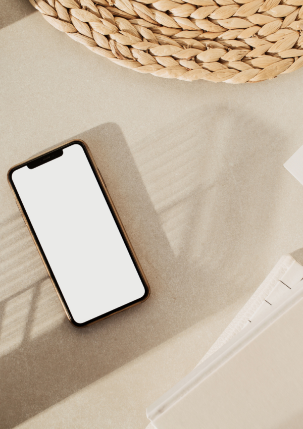 Social media, networking, and growing your audience