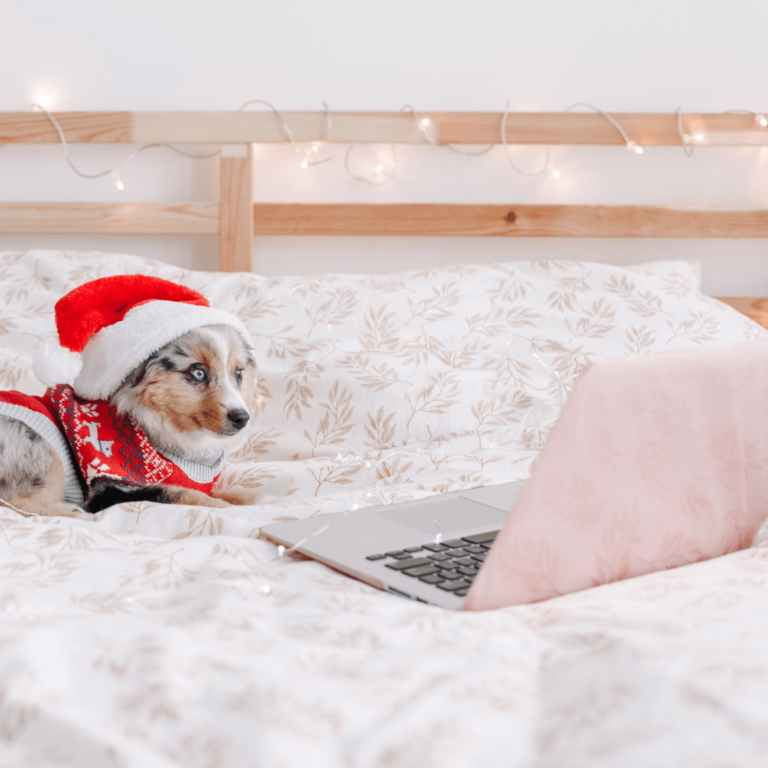 The Ultimate Must-Watch List of Christmas Movies Forever!
