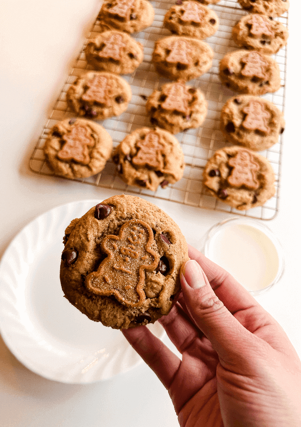 Gingerbread Chocolate Chip Cookies
